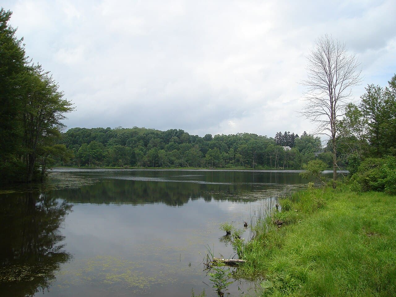 Pipestave Hill & Mill Pond Recreation Area