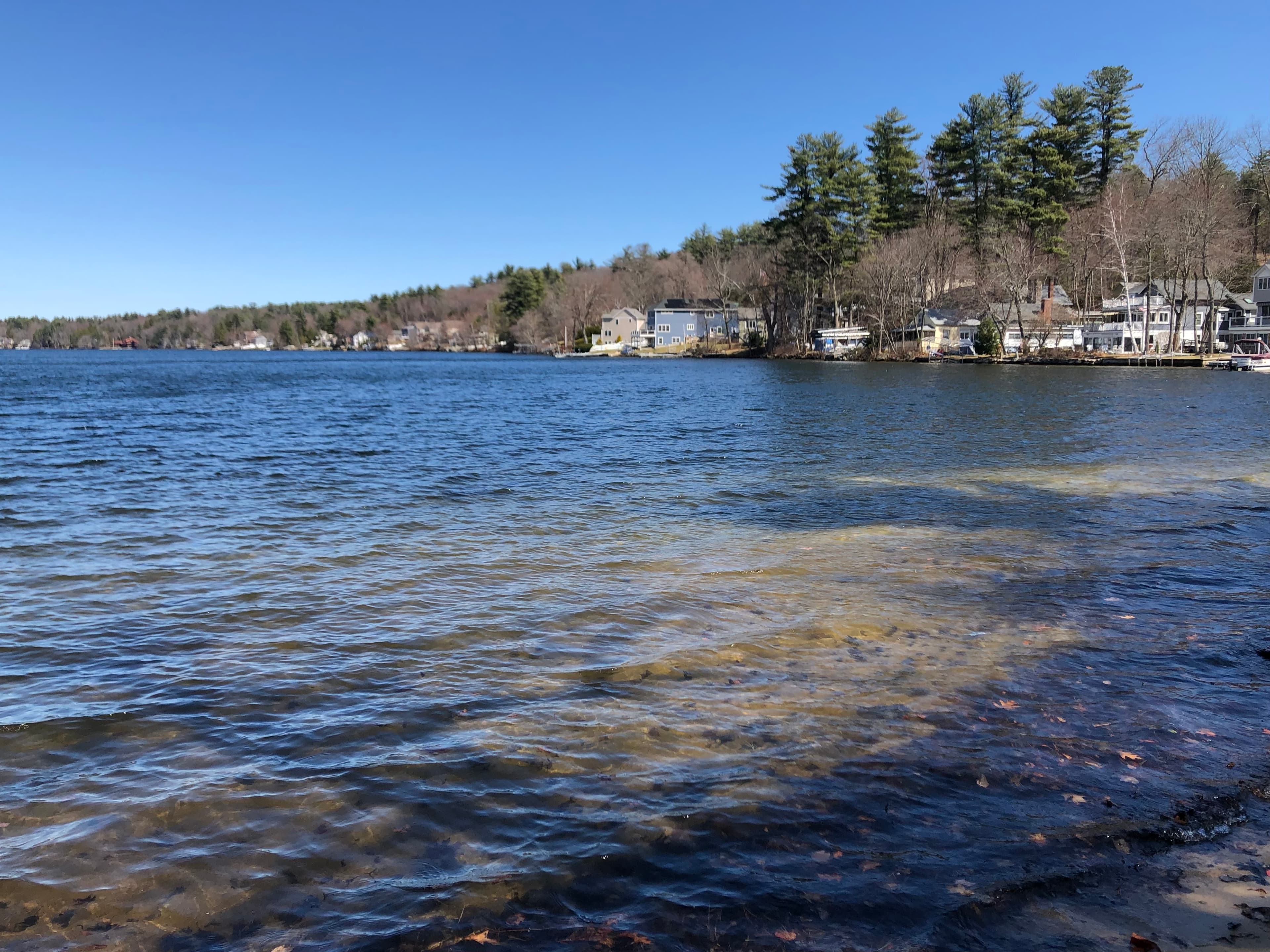 Cobbett's Pond